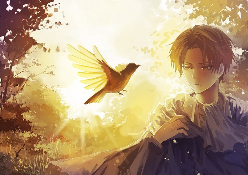 boy with bird in sunlight