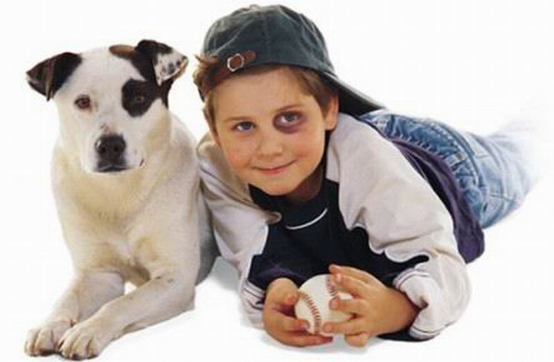 Boy with Black-and-white Dog