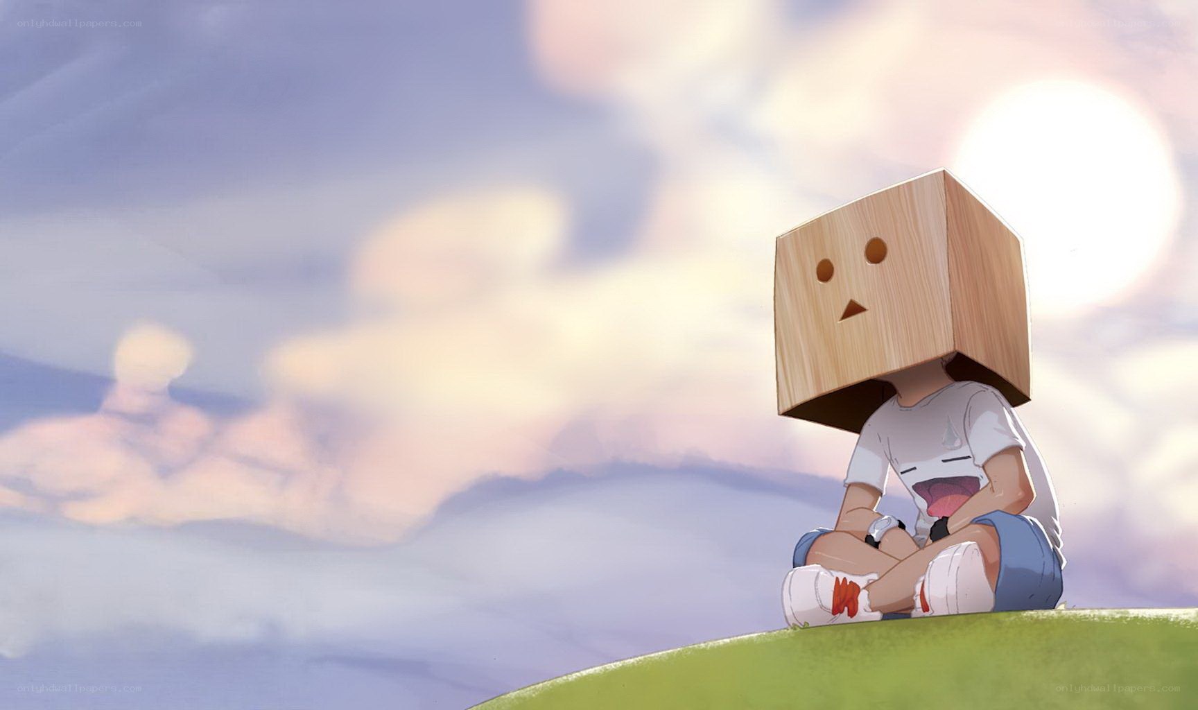 boy with box head on hill