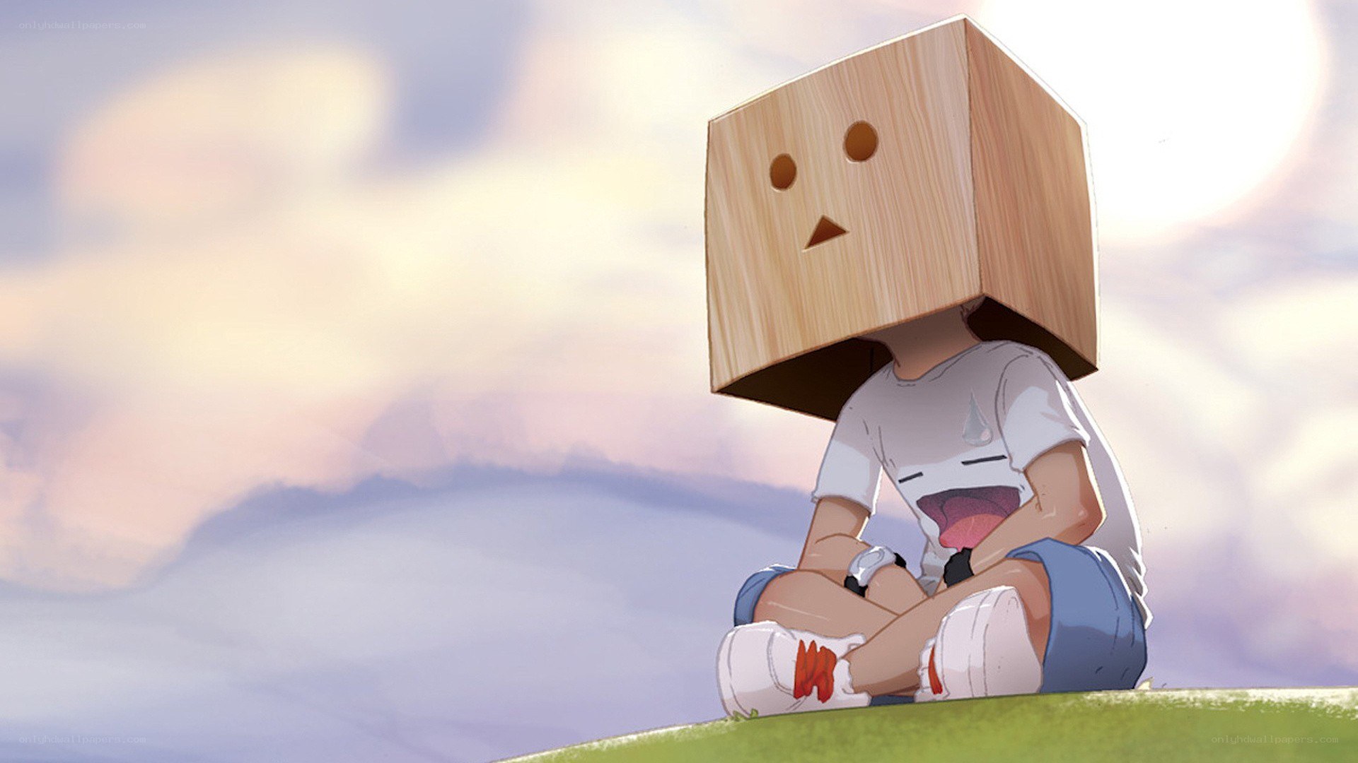 boy with box head on hill