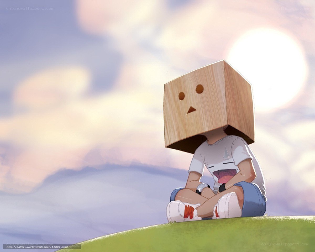 Boy with box head on hill