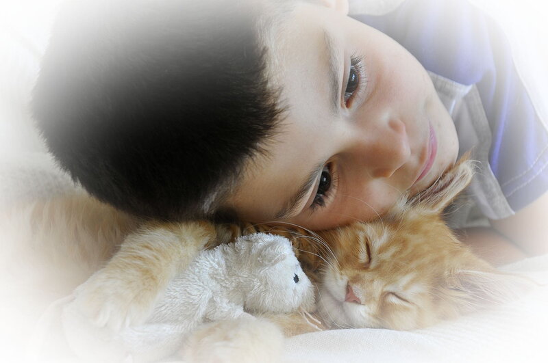 Boy with Cat and Toy
