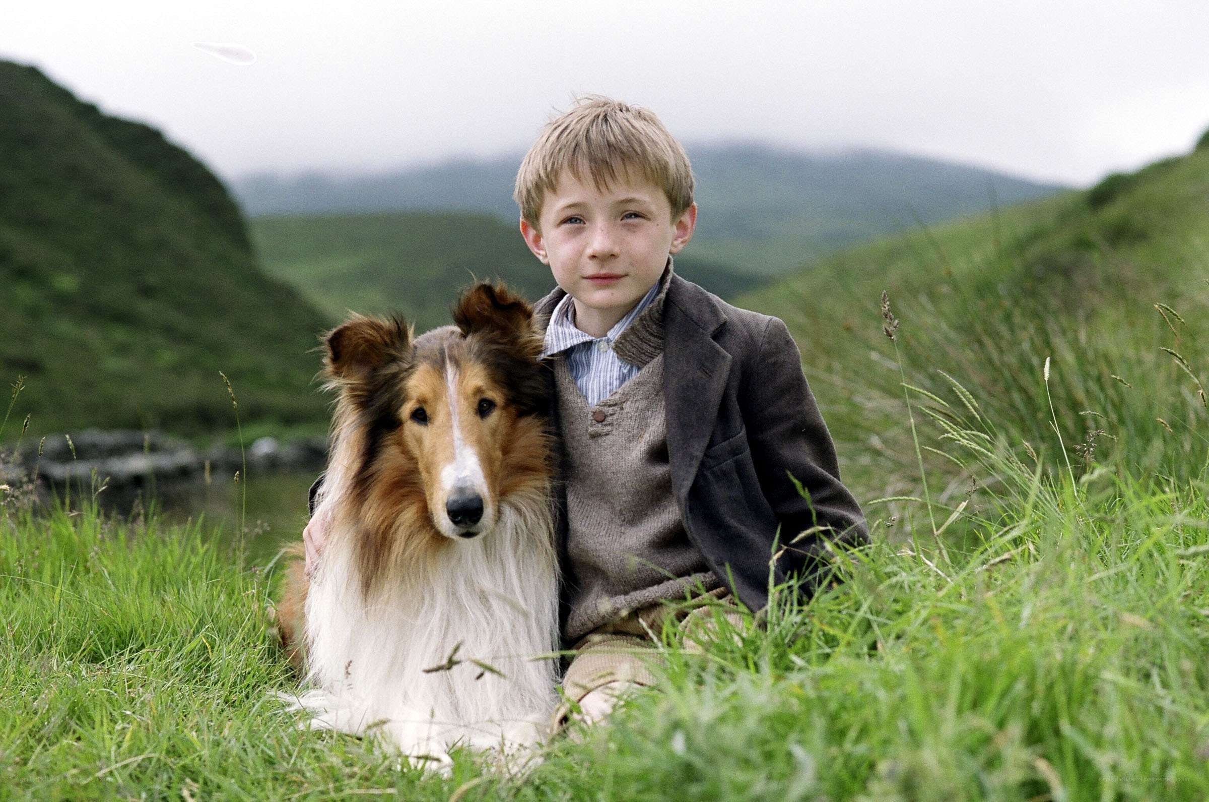 boy with collie dog in field