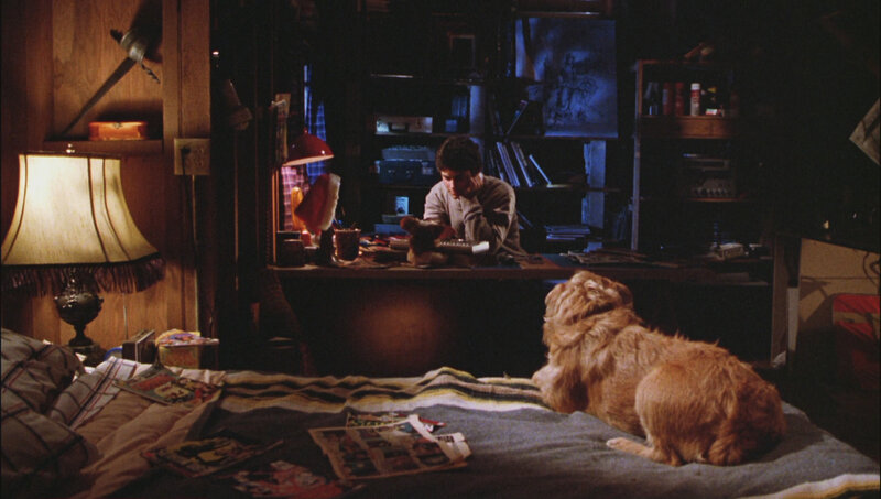 boy with dog in bedroom