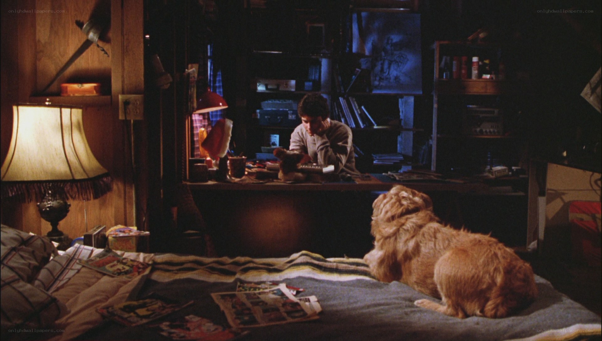 boy with dog in bedroom