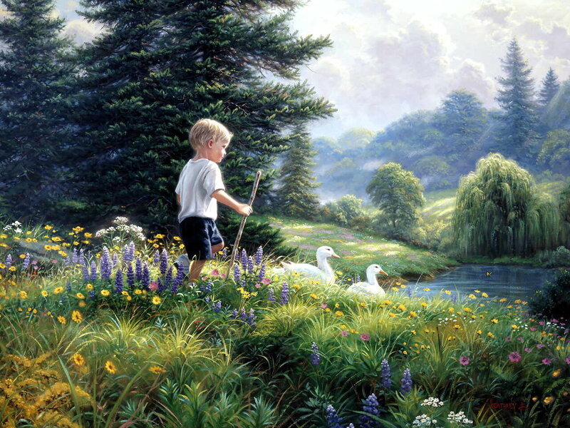 Boy with ducks in a meadow