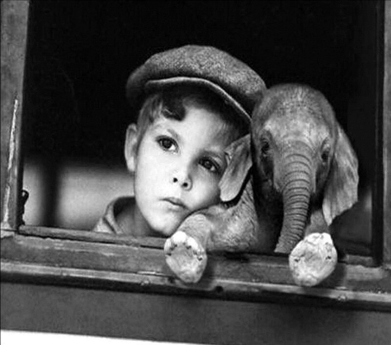 Boy with Elephant