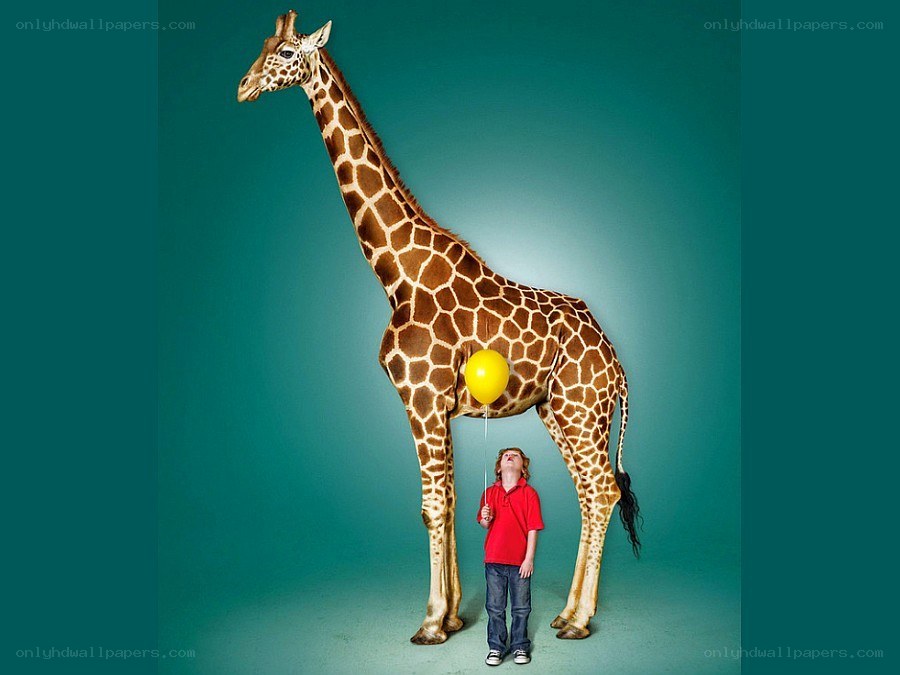 Boy with giraffe and balloon