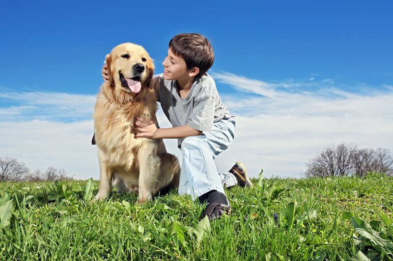 Boy with Golden Retriever — Blue