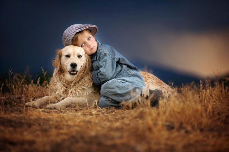 Boy with Golden Retriever — Brown