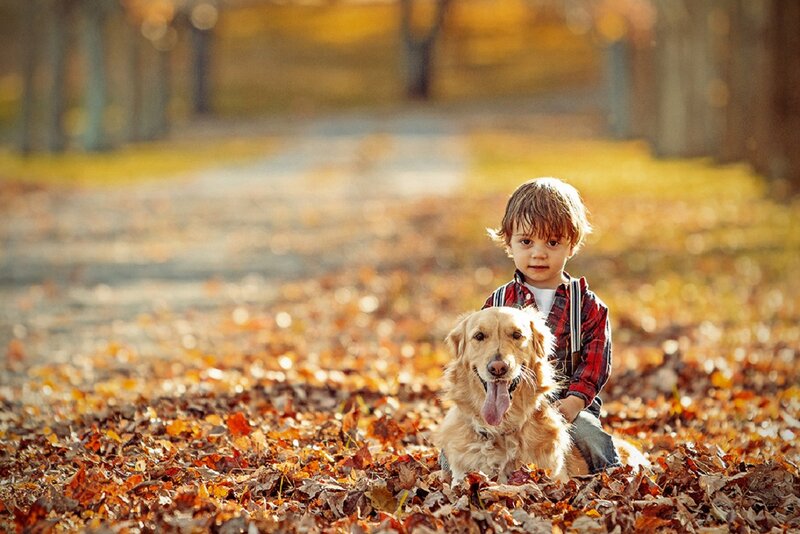Boy with Golden Retriever
