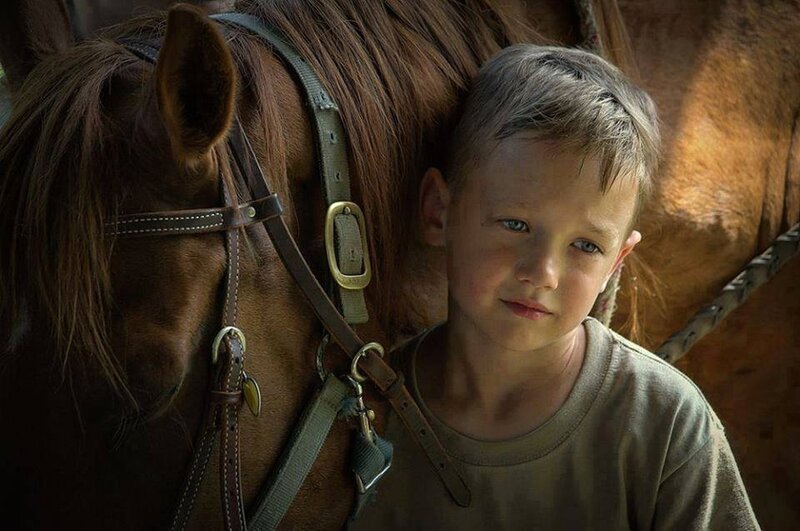 Boy with Horse — Brown, Calm, Afternoon