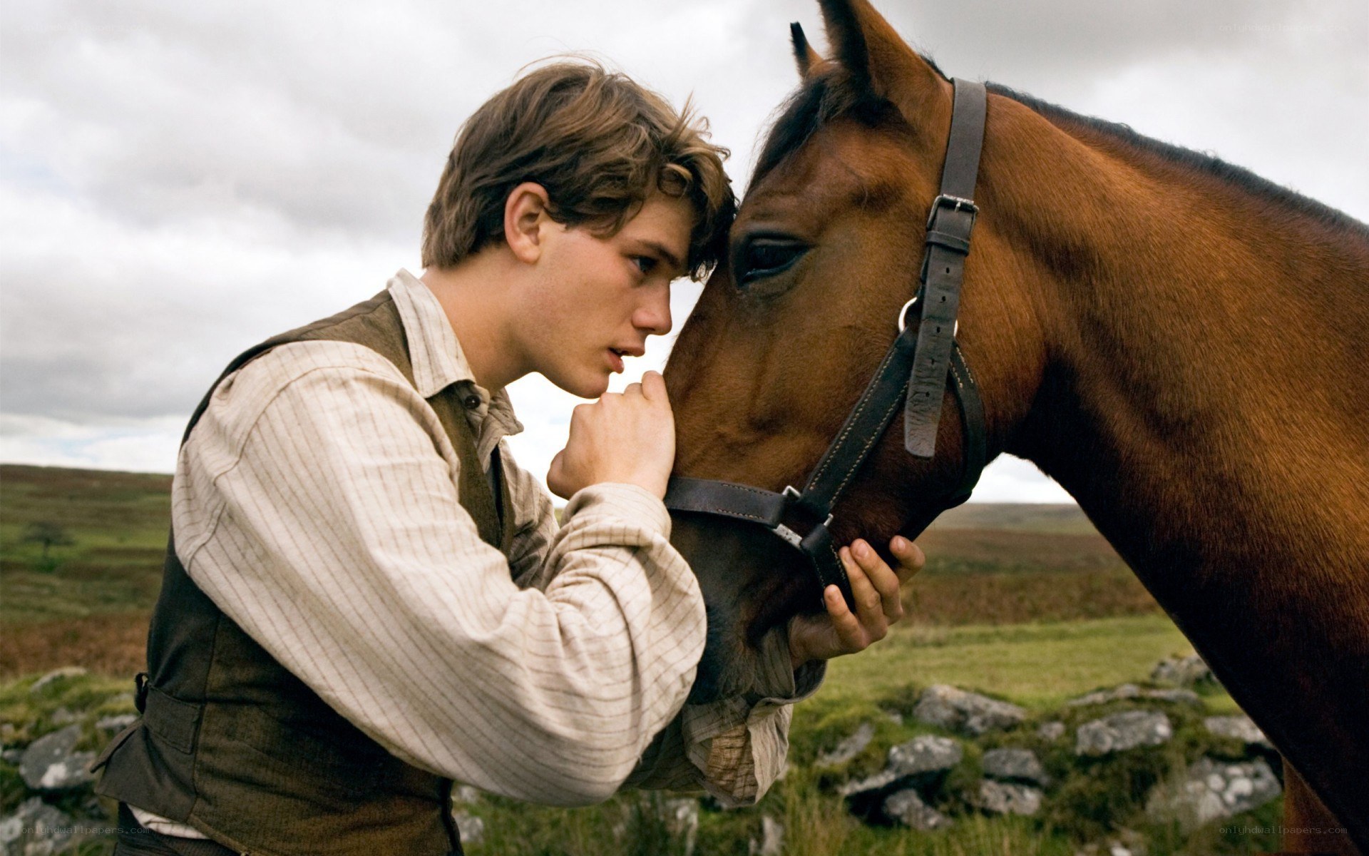 boy with horse in field