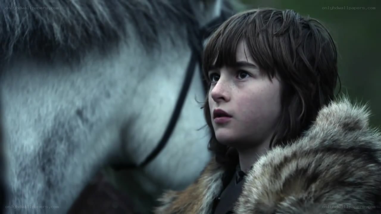 boy with horse in forest