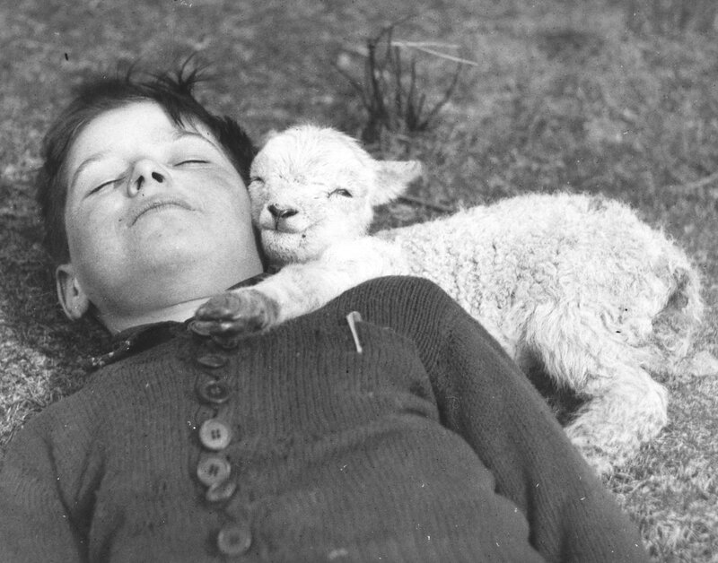 Boy with lamb on chest