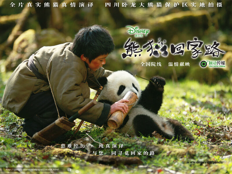 Boy with Panda Cub