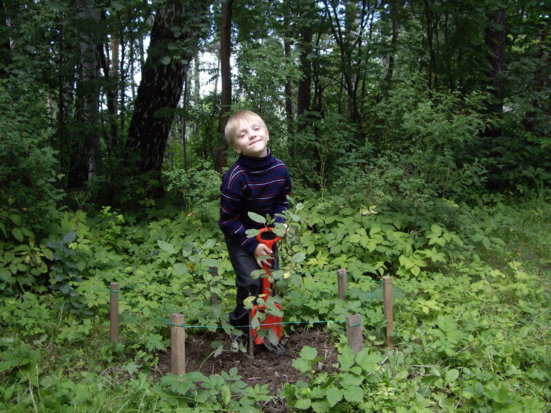 Boy with shovel in garden