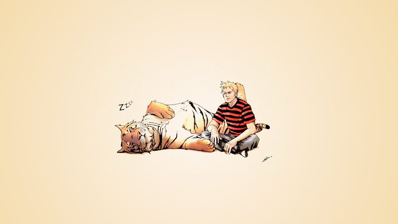boy with sleeping tiger