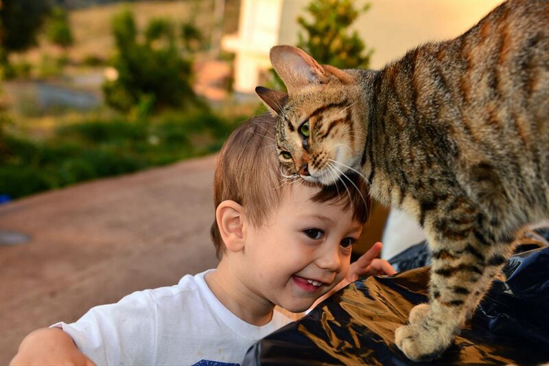 Boy with Tabby Cat