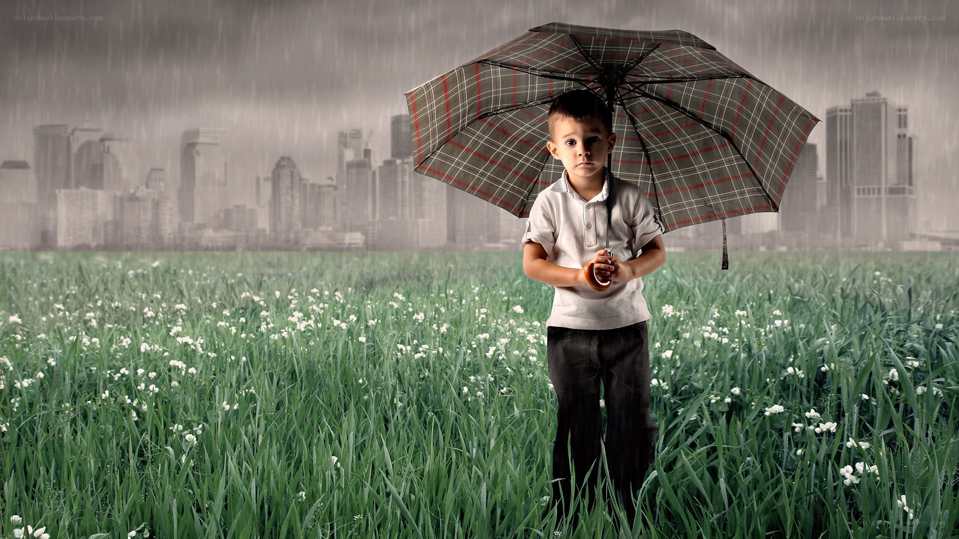 Boy with umbrella in field