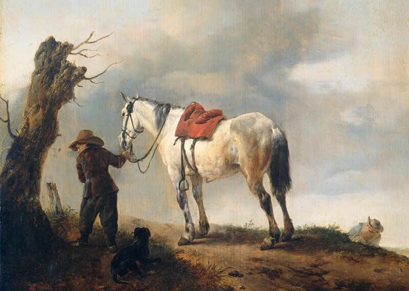 Boy with White Horse — Calm