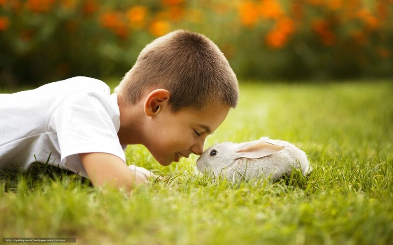 Boy with White Rabbit