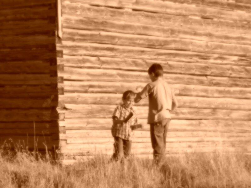 boys playing near log cabin