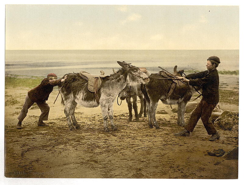 Boys with Donkeys on Beach