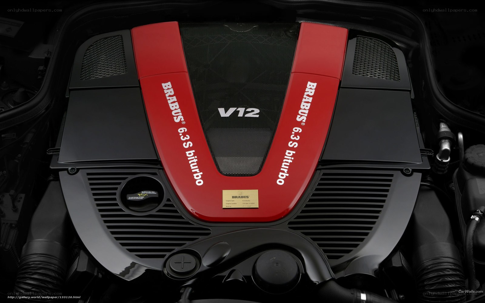 Brabus V12 engine cover