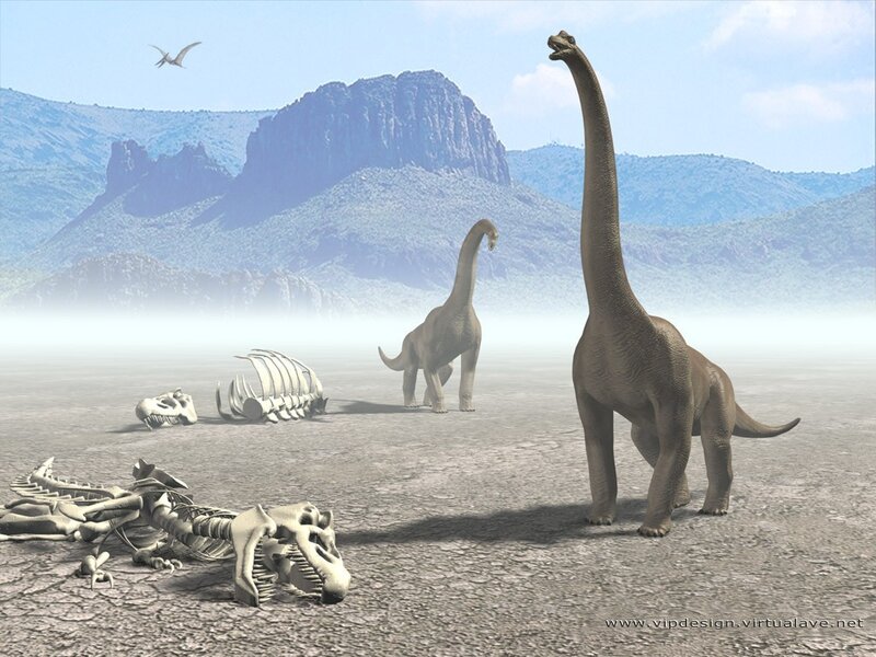 Brachiosaurus Dinosaurs
