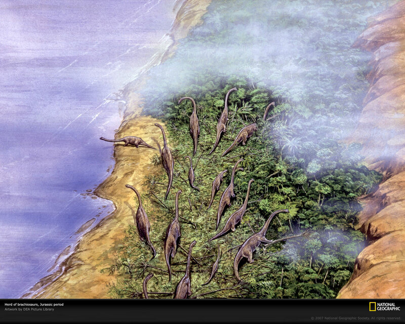 Brachiosaurus herd in Jurassic landscape