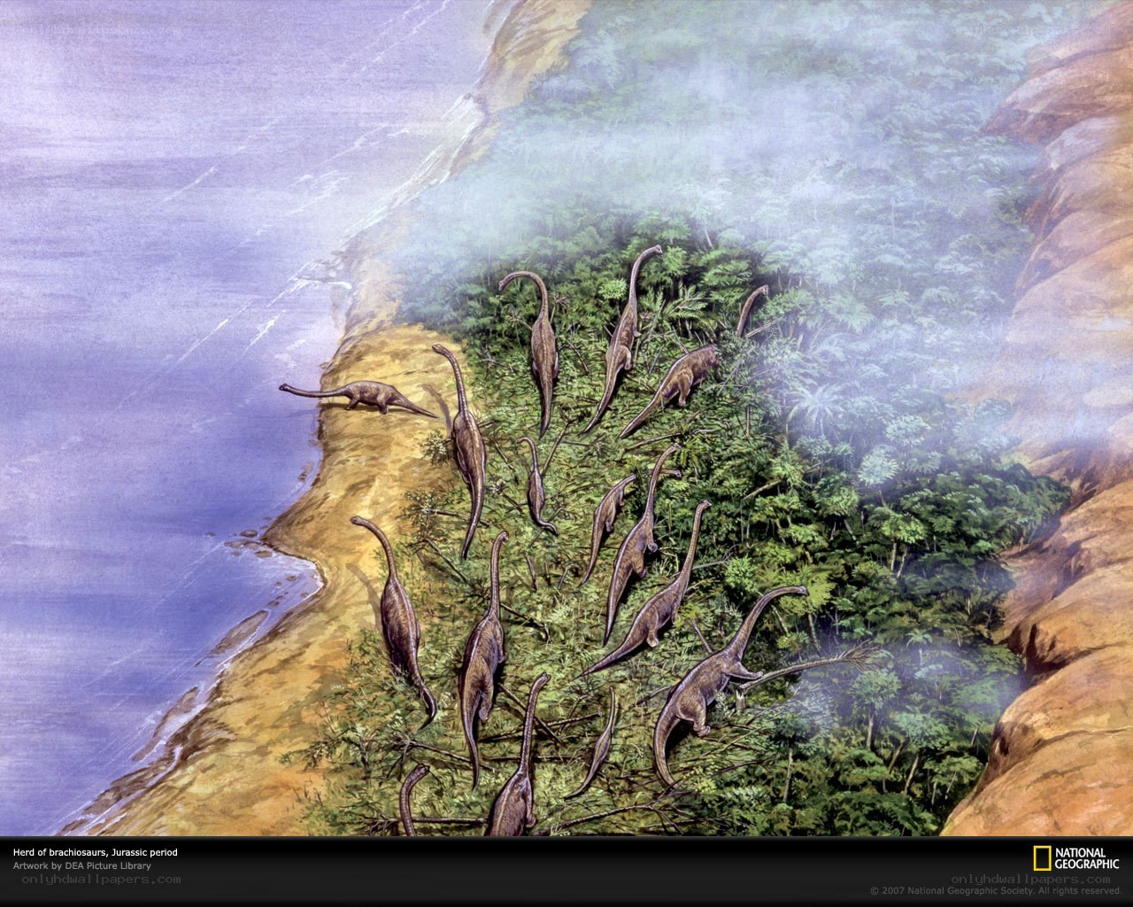 Brachiosaurus herd in Jurassic landscape