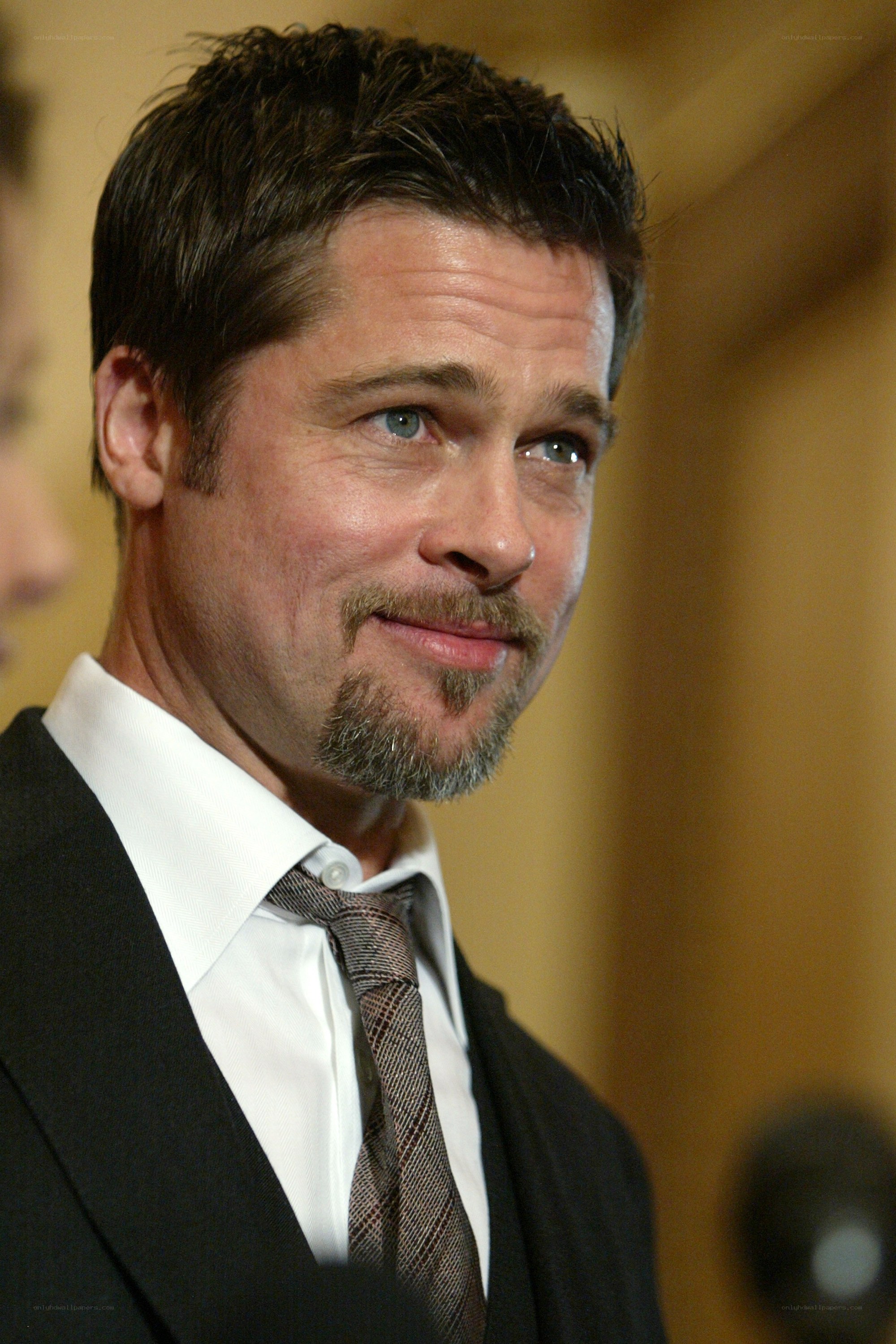 Brad Pitt at a formal event