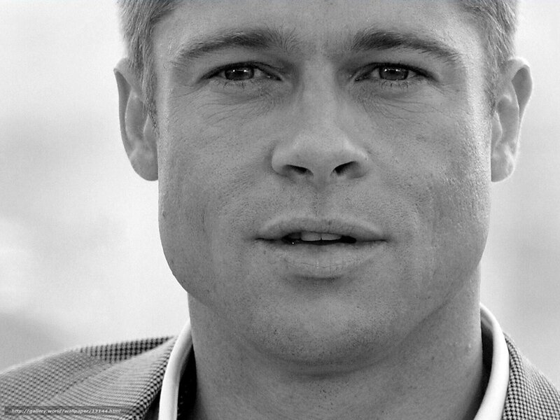 Brad Pitt portrait