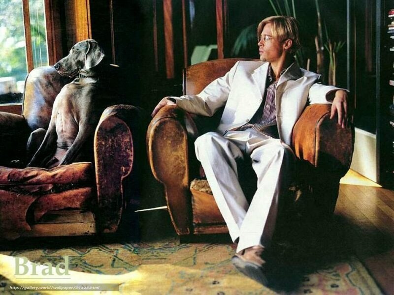 Brad Pitt with a dog