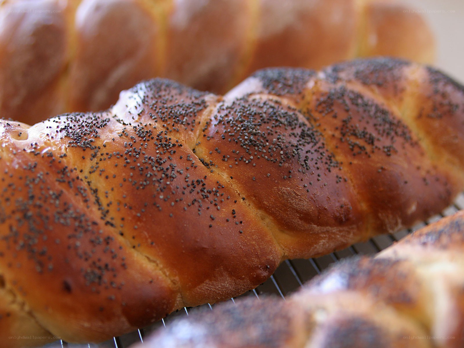 Braided bread with poppy seeds