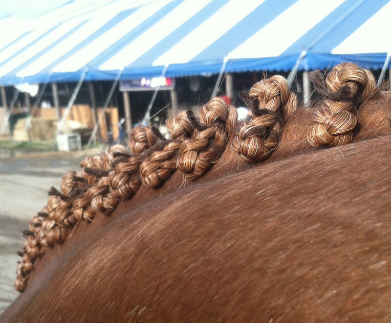 Braided Horse Mane