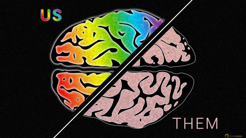 brain divided by us and them