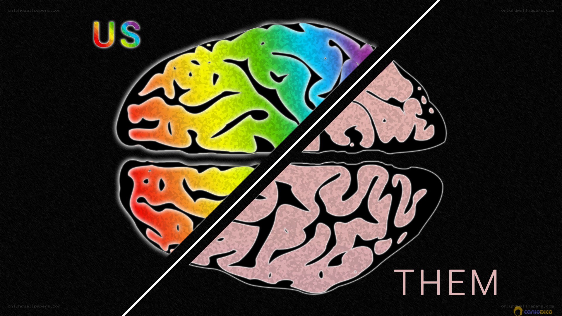 brain divided by us and them