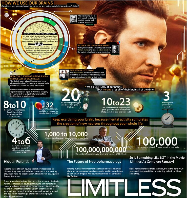 Brain Facts Infographic
