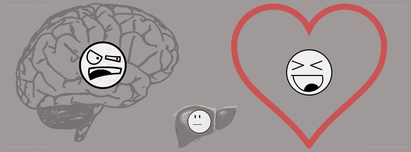 brain heart liver emotions