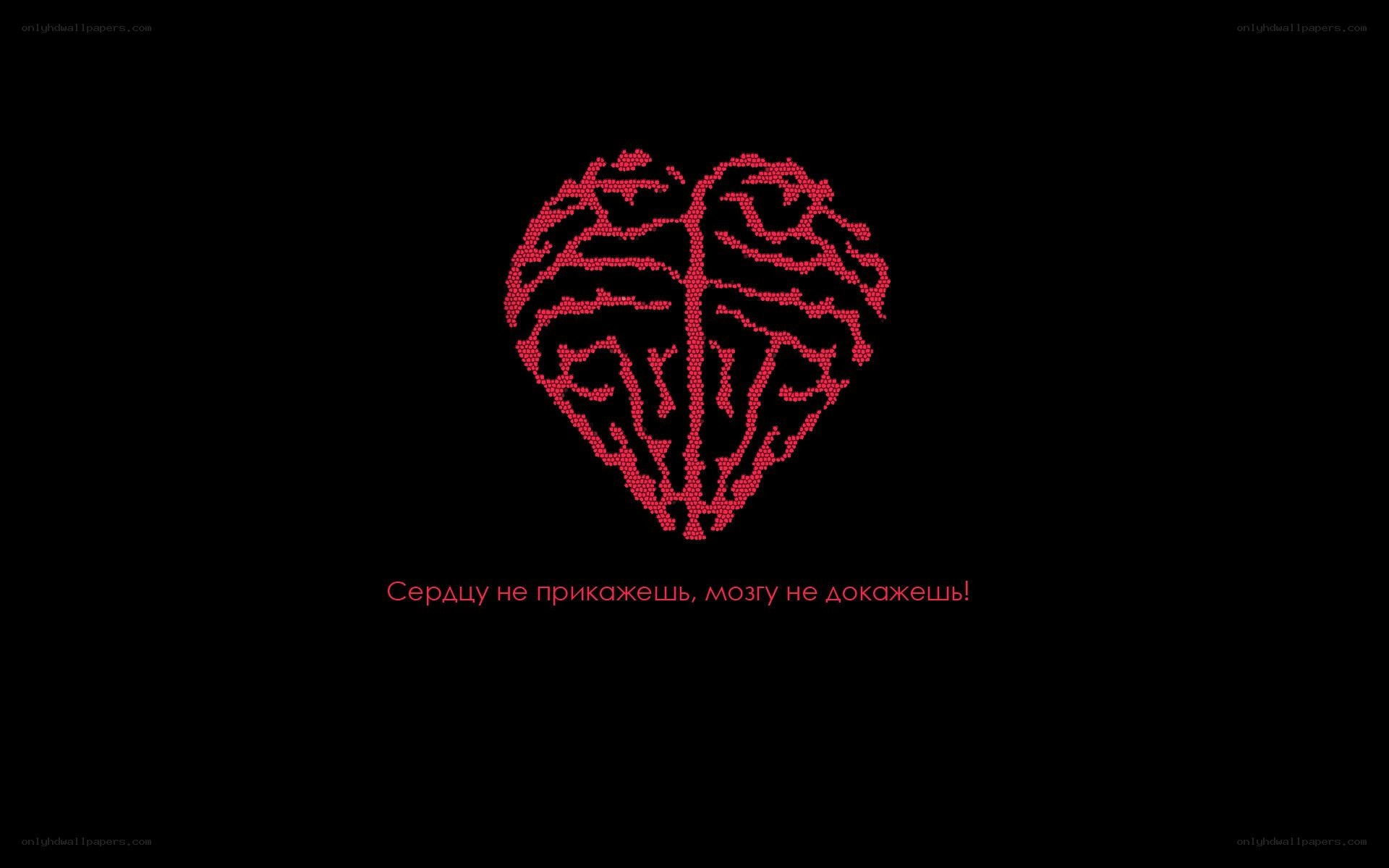 Brain heart symbol with text