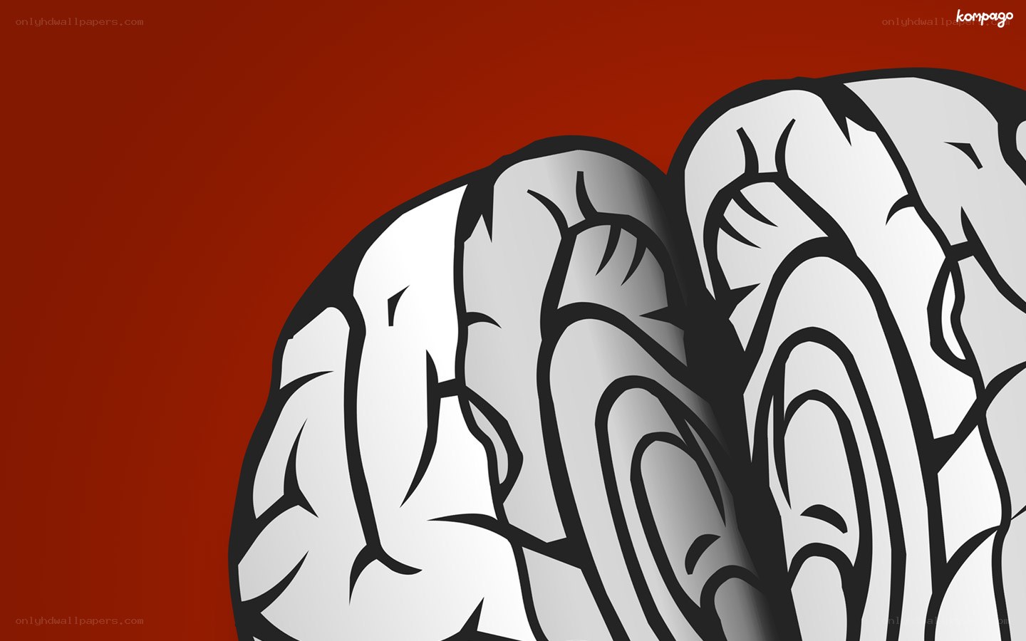 brain illustration on red