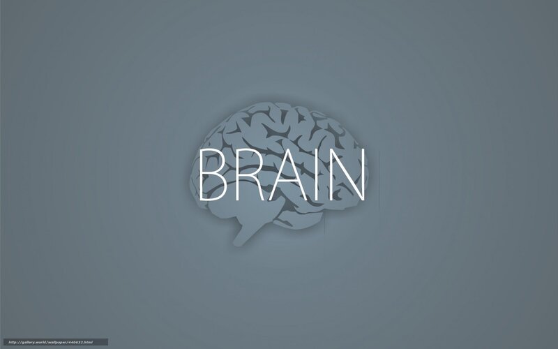 brain illustration wallpaper