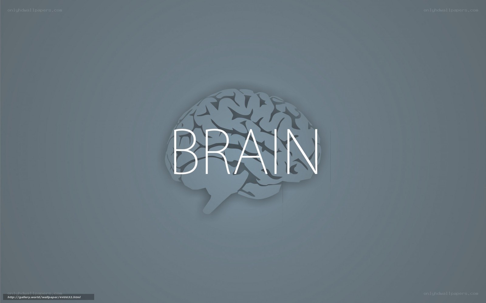 brain illustration wallpaper