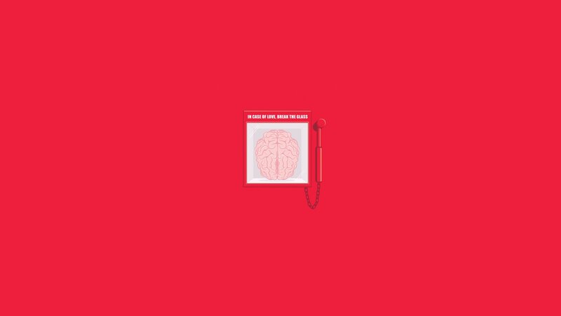 brain in a case