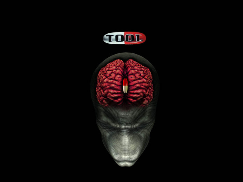 Brain in a Head