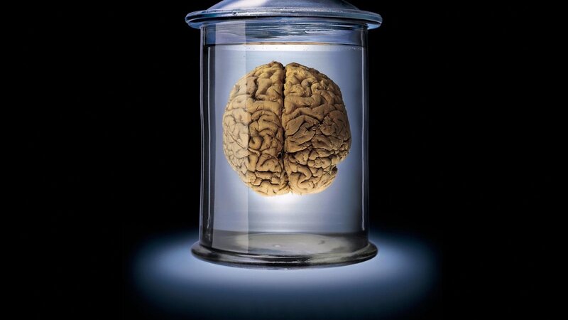 Brain in a Jar — Black
