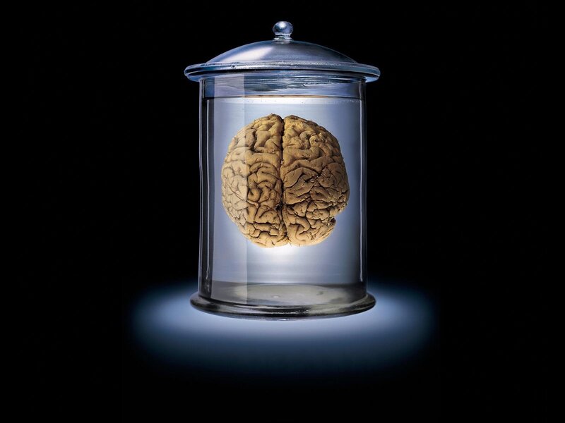 brain in a jar
