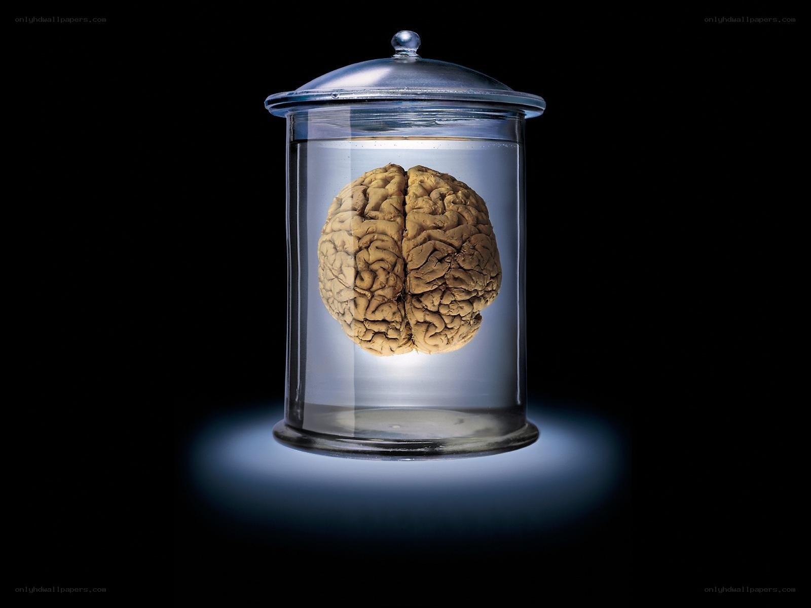 brain in a jar